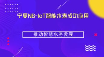 宁夏NB-IoT智能水表成功应用，推动智慧水务与智能水务系统开发